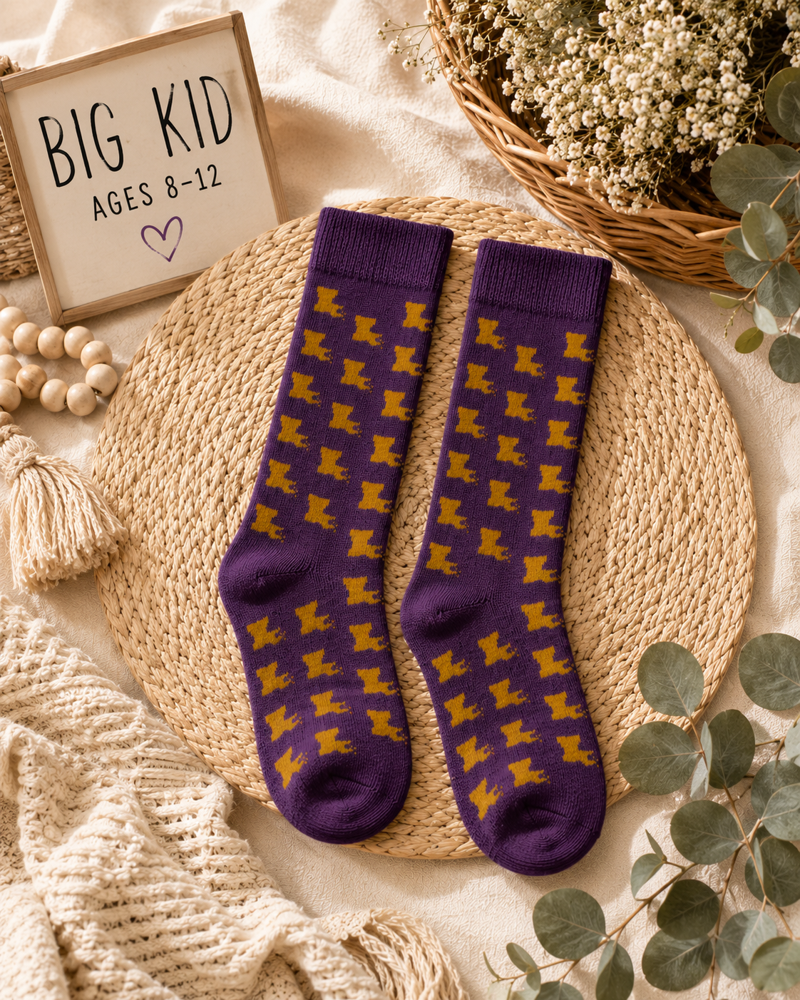Louisiana Kids Socks