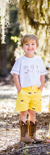 Embroidered Tiger Shorts -
Purple & Gold